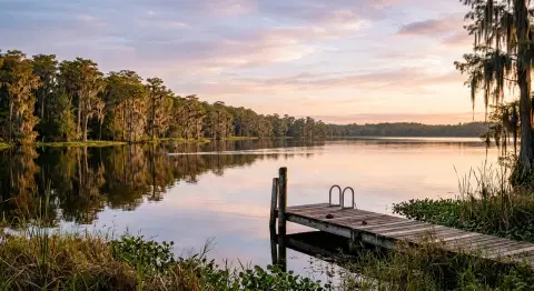 Morar perto de lago em Orlando: 5 regiões onde a rotina é mais tranquila